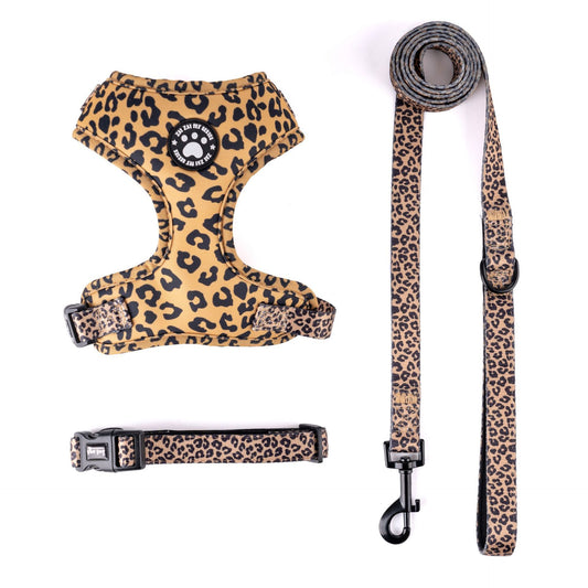 3-in-1 Dog Walking Set – Stylish Leopard Harness, Leash & Collar for Small and Medium Dogs