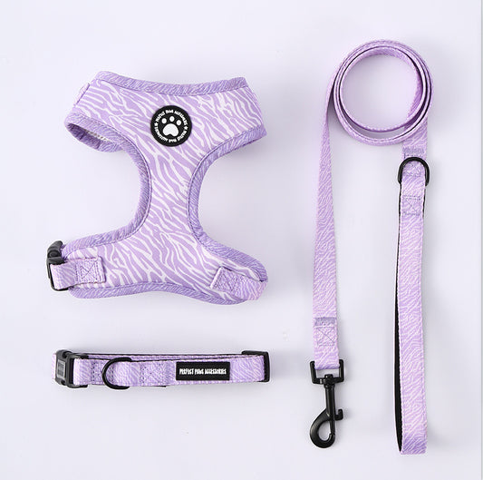 Mint Green Dog Harness Set – Adjustable No-Pull Harness with Matching Leash & Collar