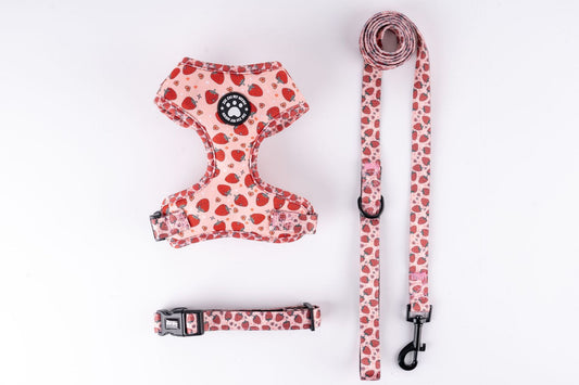 Strawberry Dog Harness Set – Adjustable No-Pull Harness with Matching Leash & Collar