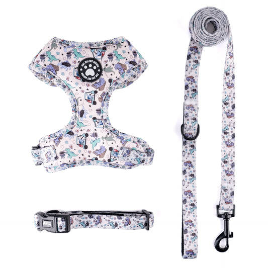 Colorful Dog Harness Set – Adorable Cartoon Print Harness with Leash & Collar