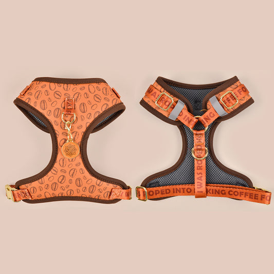 Elegant Coffee Beans Harness